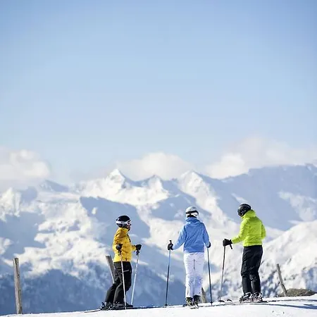 Schoelzhorn Superior Racines