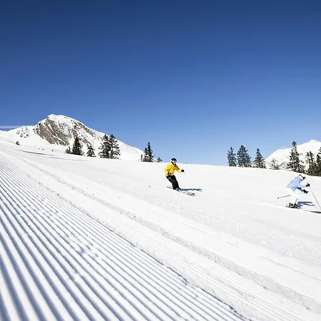 Schoelzhorn Superior 3* Racines
